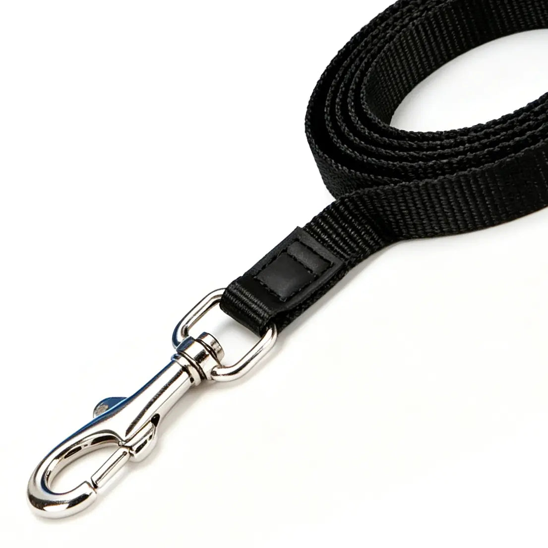 5M Retractable Dog Leash — More Freedom, More Control