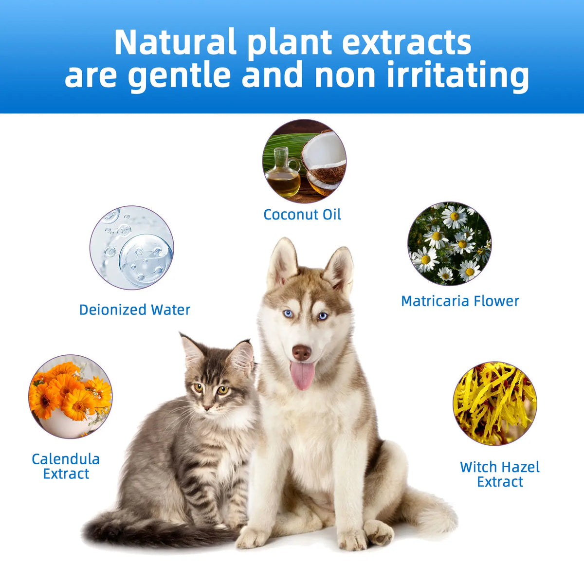 Gentle Pet Ear Cleanser | Odorless Solution for Dogs and Cats