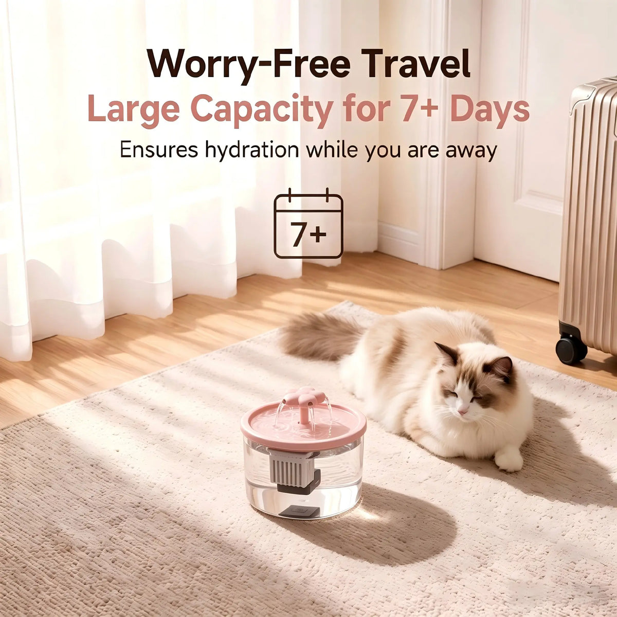 Cat Water Fountain Dispenser with Transparent Design, Quiet Operation, USB Power, and Recirculating Filter for Indoor Use