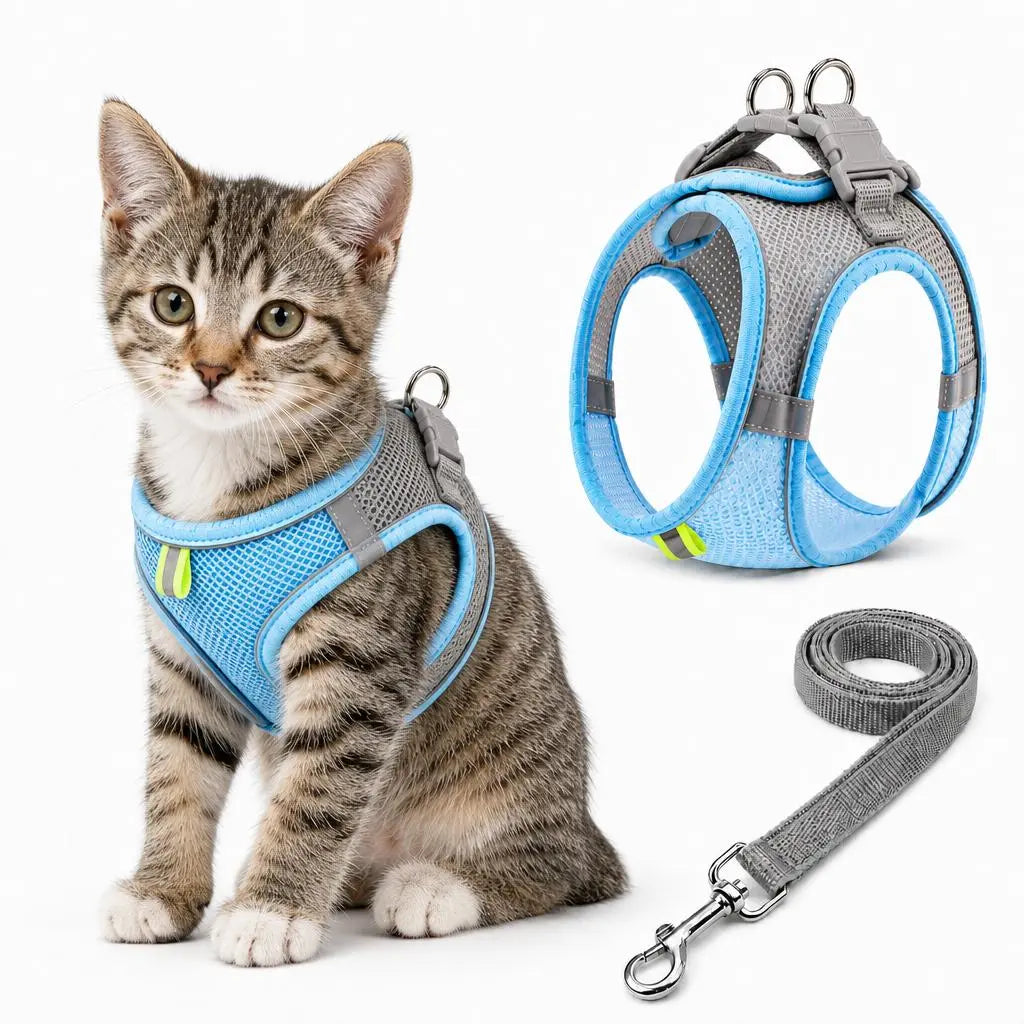 Breathable Mesh Pet Harness and Leash Set - No Pull, Escape-Proof Vest with Reflective Strip for Small to Medium Dogs and Cats - Adjustable Soft Padded Design for Walking and Training
