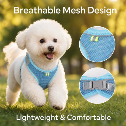 Breathable Mesh Pet Harness and Leash Set - No Pull, Escape-Proof Vest with Reflective Strip for Small to Medium Dogs and Cats - Adjustable Soft Padded Design for Walking and Training