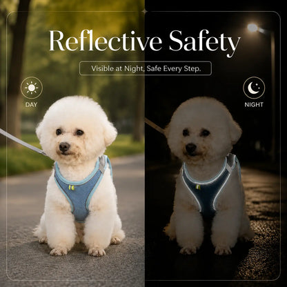 Breathable Mesh Pet Harness and Leash Set - No Pull, Escape-Proof Vest with Reflective Strip for Small to Medium Dogs and Cats - Adjustable Soft Padded Design for Walking and Training